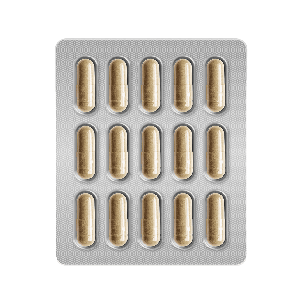 Probiotic Gut Support detail