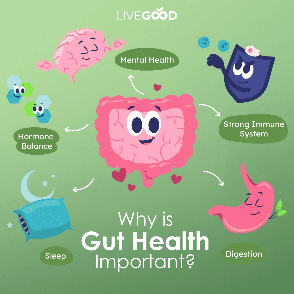 Probiotic Gut Support detail
